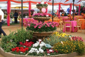 Great idea for a large, refuses-to-sell fountain (photo taken at GroLink)