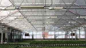 How An Energy Audit Of Your Greenhouse Can Save You Money