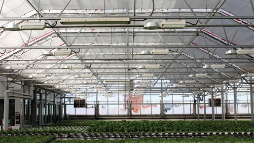 Gotham Greens Building Second Greenhouse in Suburban Chicago