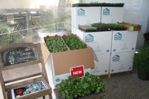 HGTV Provides Easy Ordering With EuroAmerican