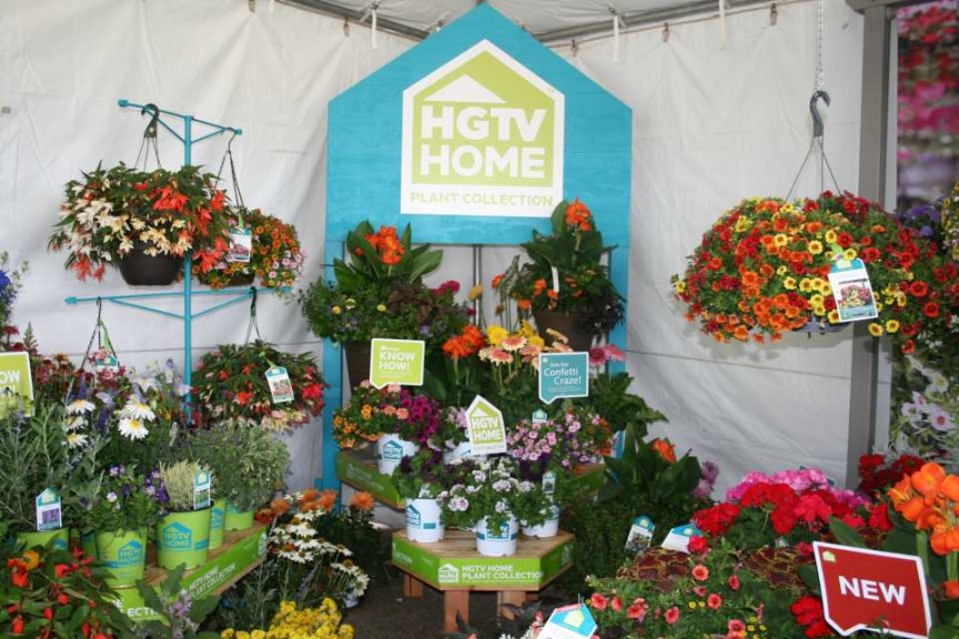 HGTV's Mix Of Varieties