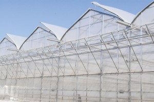 Half Open-Roof Greenhouse (GGS)