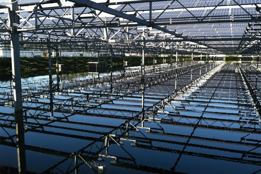 Houweling's Water Retention Pond Solar Panels
