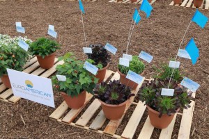 The company's best picks are noted with blue flags