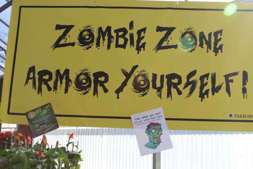 Zombie Zone