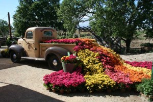 One Of Dümmen's Trials Took Place At Barrelhouse Brewery