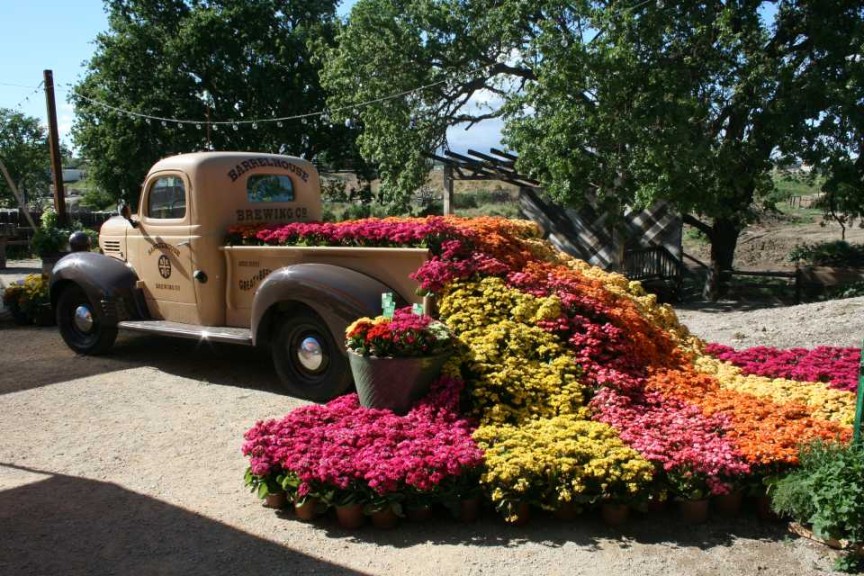 One Of Dümmen's Trials Took Place At Barrelhouse Brewery