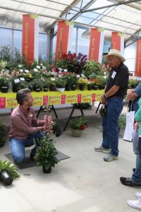 Josh Schneider and Allan Armitage discuss Illumination digiplexis