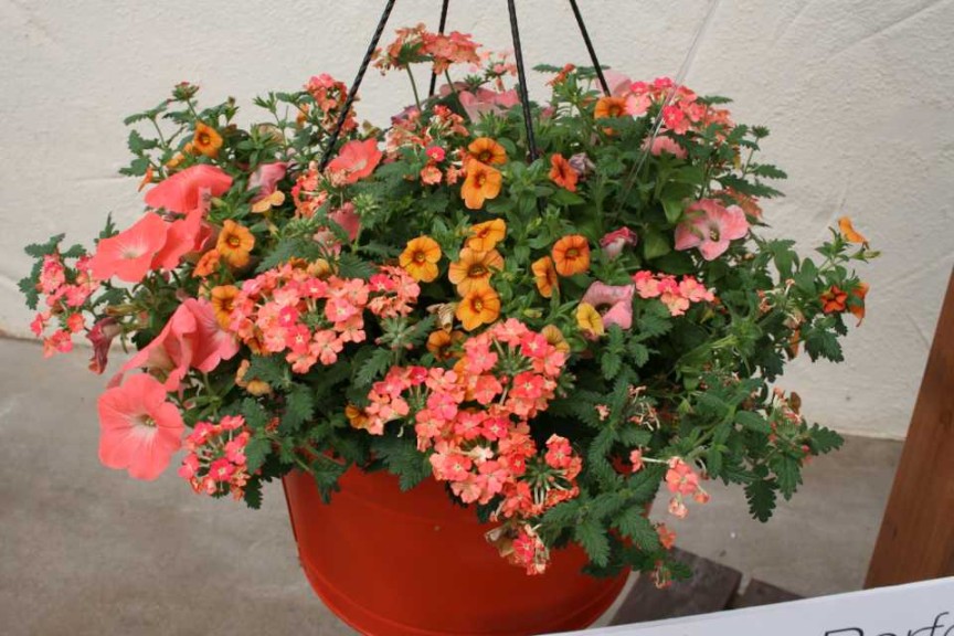 Kwik Kombos Color My Sunset