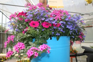 Kwik Kombos Night in Pompeii