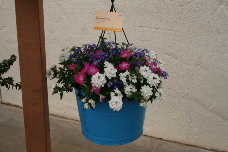 Kwik Kombos Spring Breeze