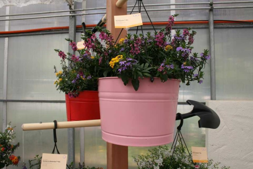 Kwik Kombos #summerfun