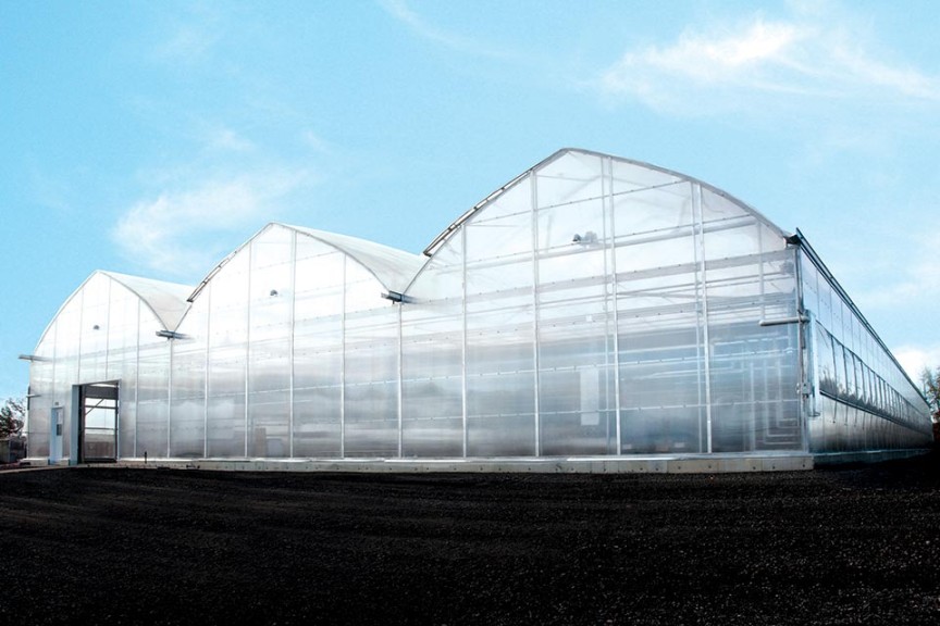 Luminosa (Harnois Greenhouses)