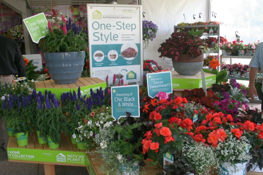 Mannequin table for mixed containers at HGTV HOME Plant