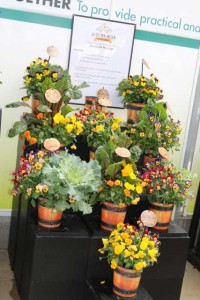 Master Tag Autumn Hues Display