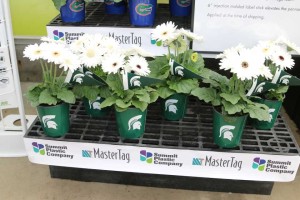 MasterTag NCAA Sports Theme