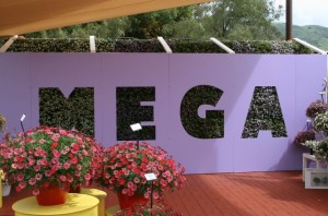 This vertical garden with a cutout wall concept can make a big impact on more permanent displays. (Photo taken at Ball FloraPlant)