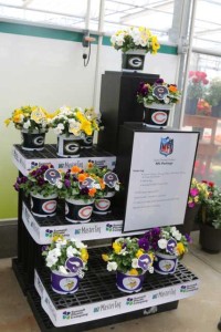 Sporticulture Display