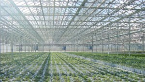 NGMA Update: Meet The New Officers And Directors, And Mark Your Calendars For a Reception At Cultivate’16