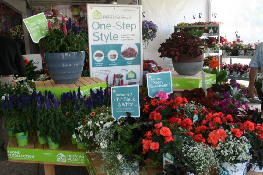 One Step Style Program At HGTV