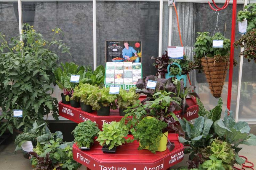 P. Allen Smith Home Grown Seed Selection