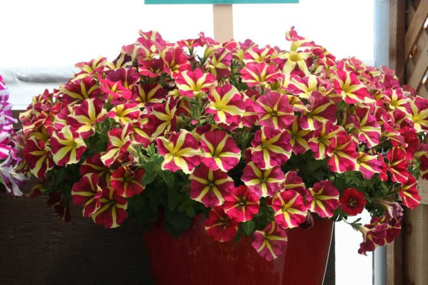 Demand Quality: Start With Your Own Business