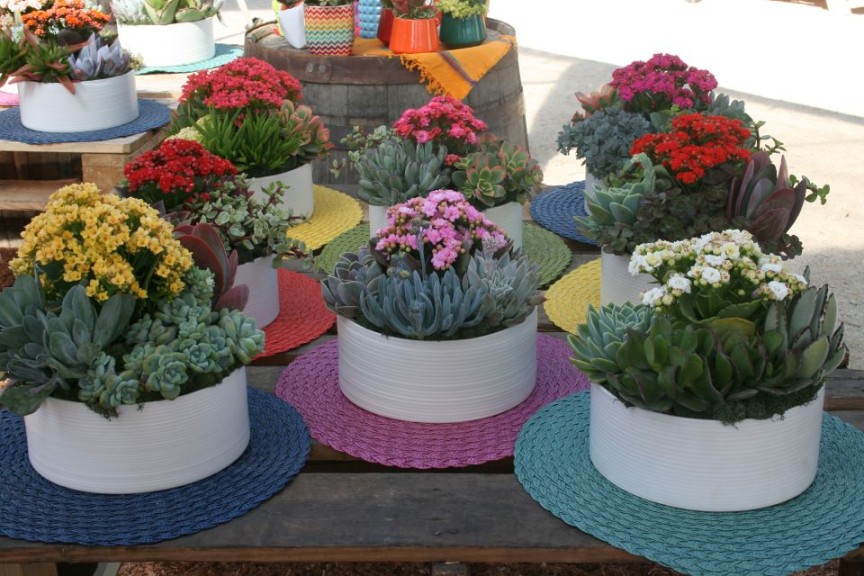 Placemats for succulent combo gardens at Dümmen Orange