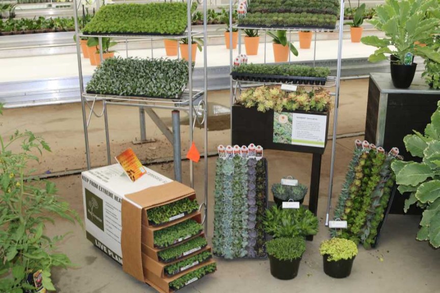 Plug Connection Assortment