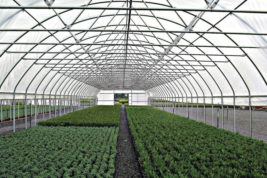 Powerhouse (Stuppy Inc.)