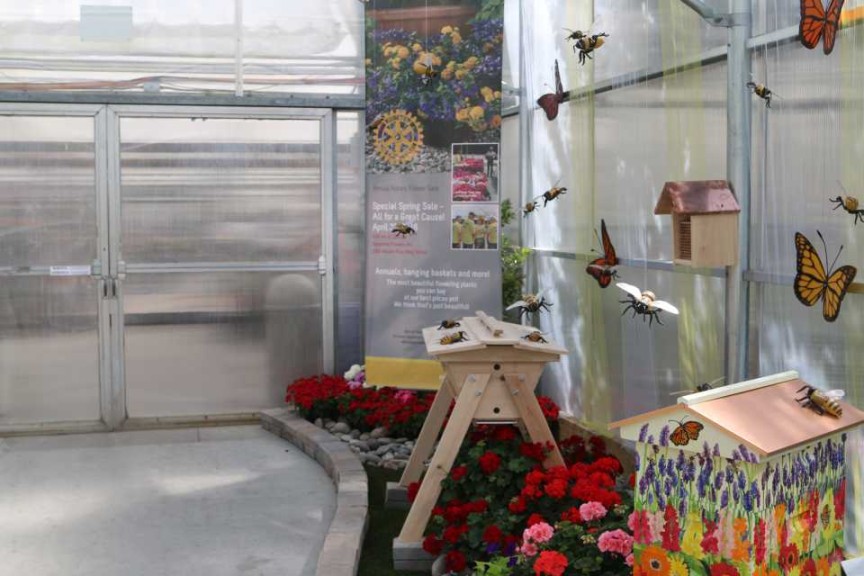 Promoting Pollinators