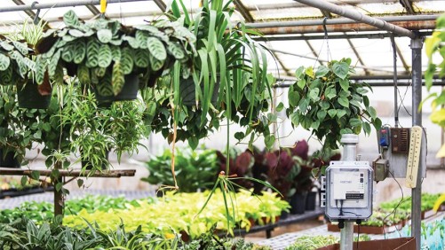 Monitor Your Greenhouse Conditions Without A Web Connection