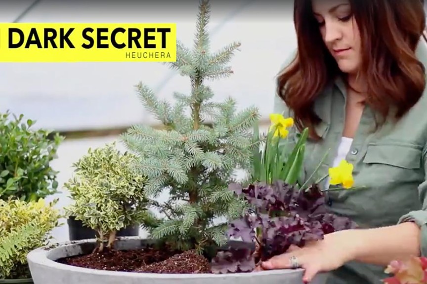 Spring Fairy Garden Video Screenshot