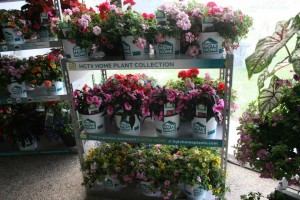 Another Look At Supermarket EZ Shippers