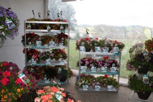 Supermarket EZ Shippers