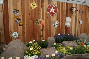 Syngenta's Perennial Offerings