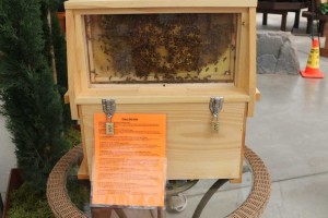 Syngenta's Honey Display