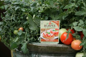 Take 2 Camera Combo (Burpee)