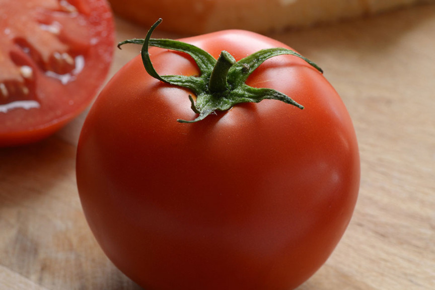 Tomato ‘Stellar’ (PanAmerican Seed, Ball Horticultural Co., Santa Paula, CA)