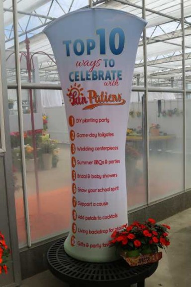 The Anniversary Celebration Continues