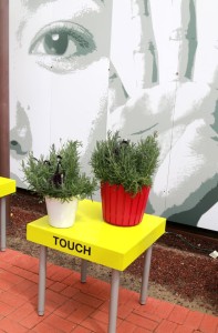 Touch bench for lavender at Ball Ingenuity