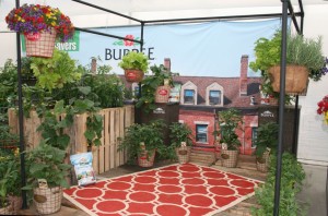 Urban patio garden display at Burpee