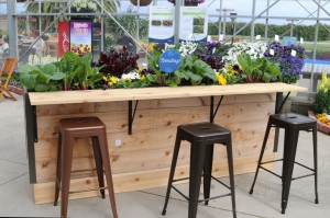 Vegetable bar at Sakata