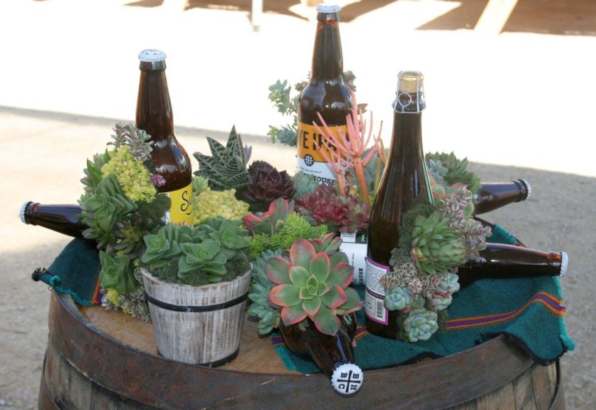 Wine and beer bottle succulent planters at Dümmen Orange