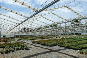 X-Frame Retractable Roof Greenhouse And Shadehouse (Cravo)