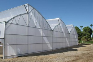 Zephyr Greenhouse (Nexus)