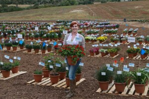 Amanda Flint, trials manager