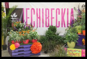 Pacific Plug & Liner's vertical merchandising includes painted pallets, paper flowers, huge font banner, and artificial turf