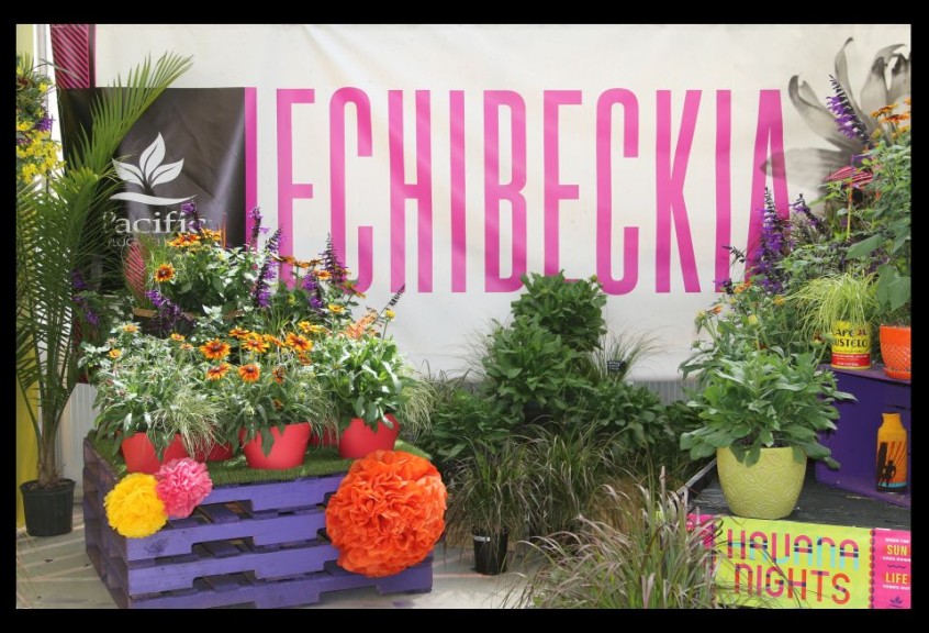 Pacific Plug & Liner's vertical merchandising includes painted pallets, paper flowers, huge font banner, and artificial turf