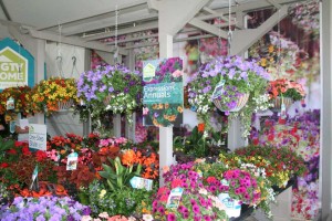 Mass Merchandiser Display Simulation at HGTV