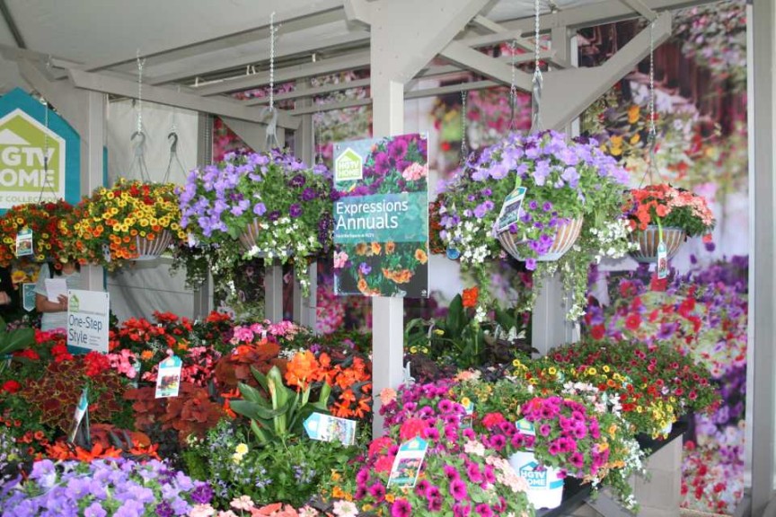 Mass Merchandiser Display Simulation at HGTV